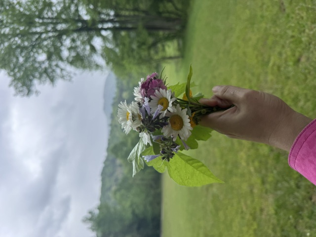 Wildflower bouquet against a mountain meadow